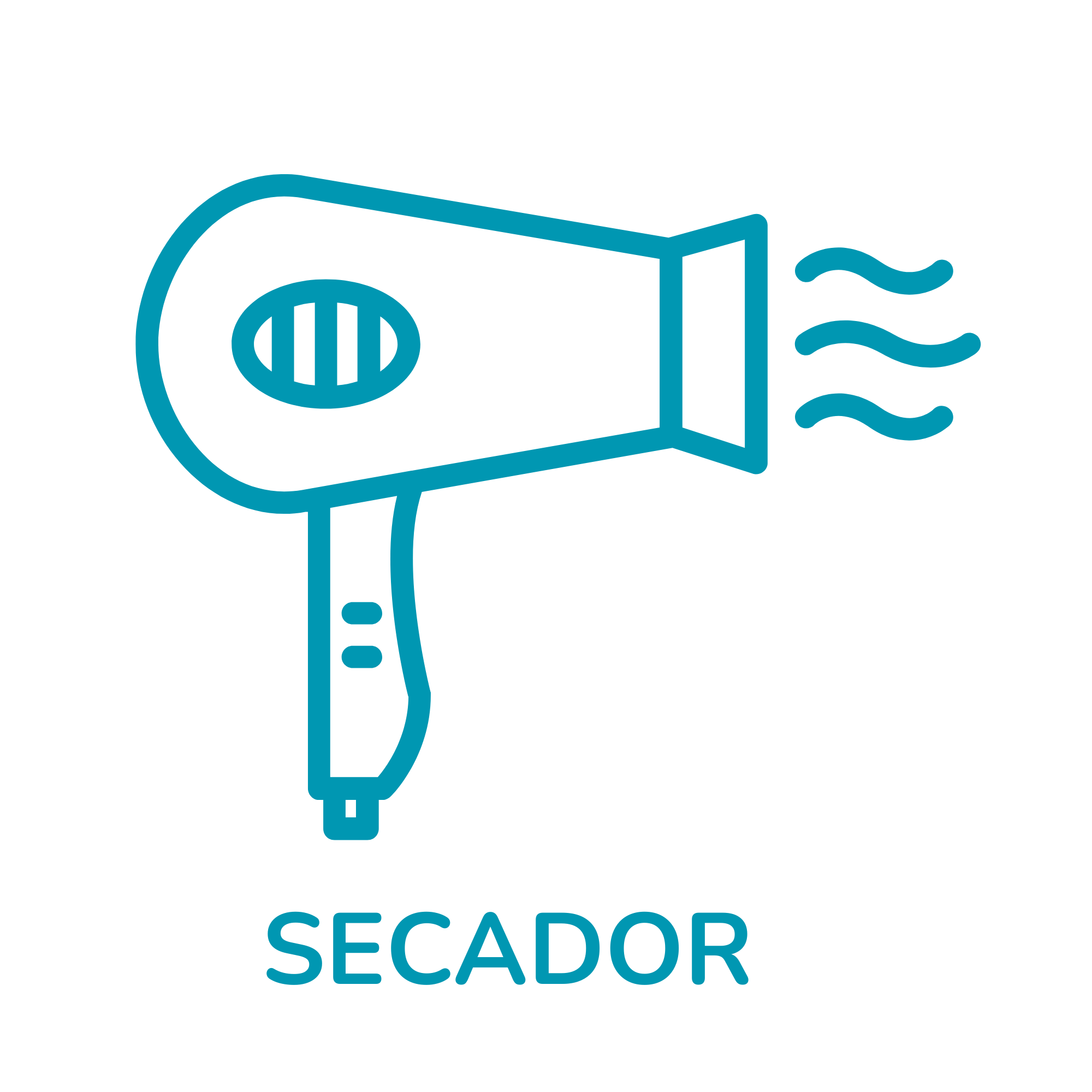 Secador